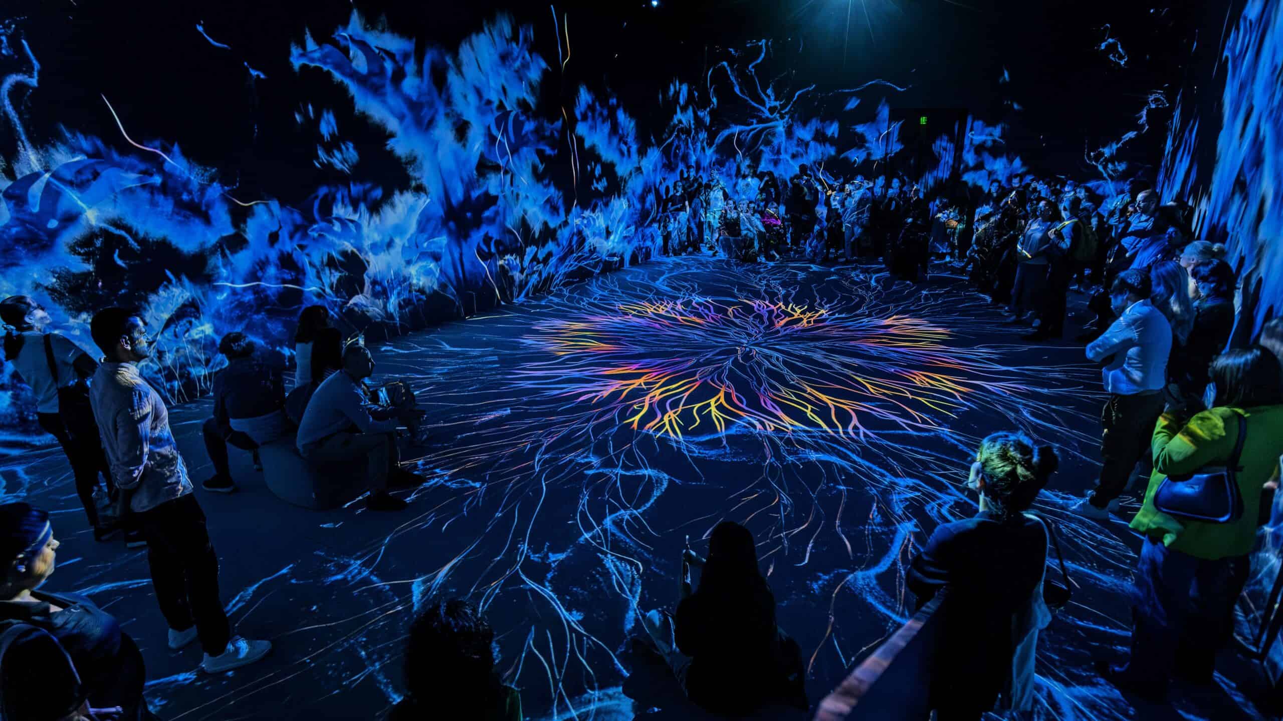 В София отвори врати ново имерсивно пространство за дигитално изкуство –  VIDENIE - Новините ДНЕС